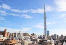 Which one is higher, Tokyo Tower or Tokyo Tower? Which one i