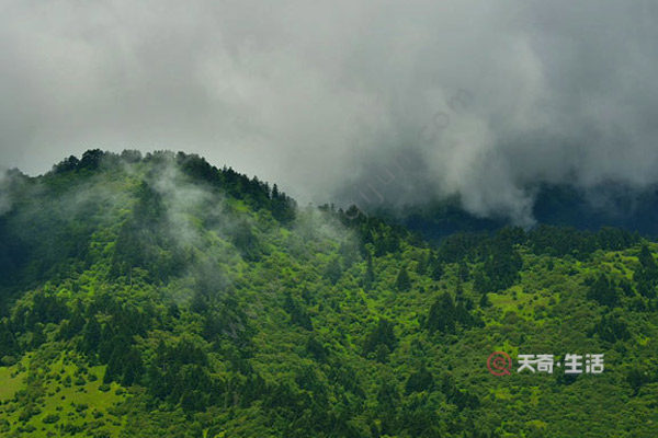 What are the main attractions in Shennongjia? What are the main attractions in Shennongjia?(图3) What are the main attractions in Shennongjia