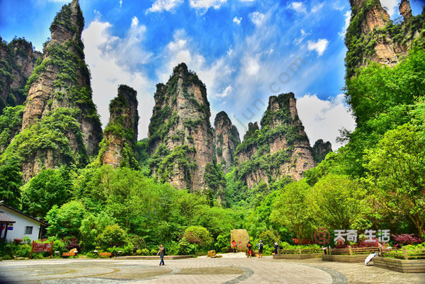What is included in the Zhangjiajie ticket? What is included in the Zhangjiajie ticket?(图2) What is included in the Zhangjiajie ticket?