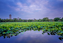 What is there to do in Kunming? Classic one-day tour in Kunm