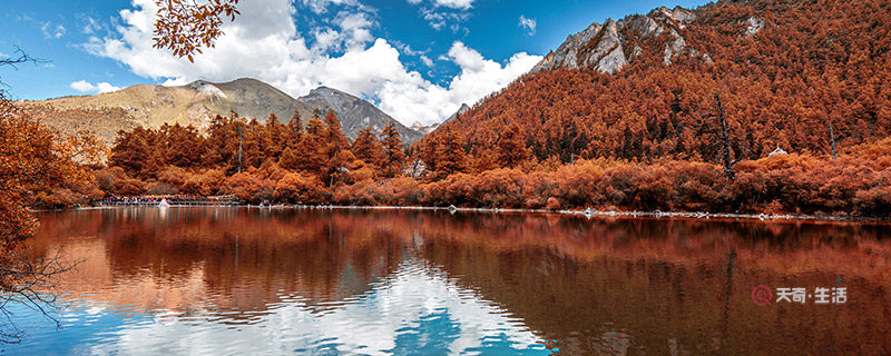 A place suitable for travel and daze