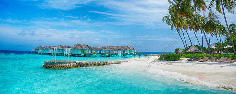 What are the stars of Full Moon Island in Maldives? What are the stars of Full Moon Island in Maldives?(图1) The stars of Full Moon Island in the Maldives