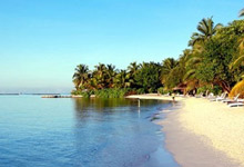What are the stars of Full Moon Island in Maldives? What are the stars of Full Moon Island in Maldiv