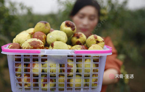 What are the special fruits in Heze? Specialties of Heze, Shandong(图3) Heze Specialty Fruit
