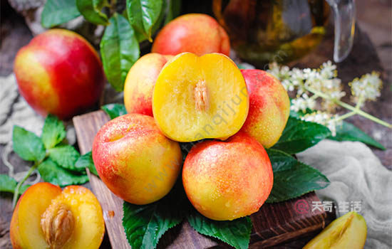 What special fruits are there in Jiaxing? Specialties of Jiaxing, Zhejiang(图2) What are the special fruits in Jiaxing