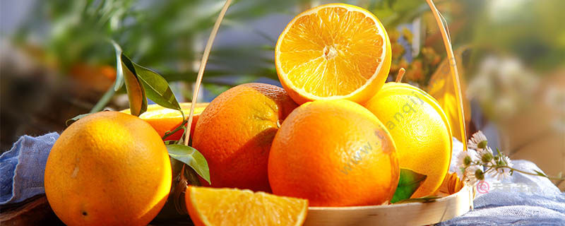 What special fruits are there in Jiaxing? Specialties of Jiaxing, Zhejiang(图1) What are the special fruits in Jiaxing